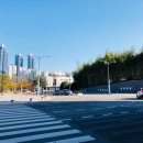 용당우리의원 | ◆〔부산남구대학교 소개 2 〕『 부경대학교 』편: &#34;부산수산대학교&#34;와 &#34;부산공업대학교&#34;의 우여곡절끝...