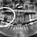 365안락한치과의원 이미지