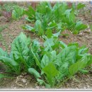 내가웰빙 이미지