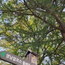 선피크모텔 네이버블로그