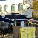 향교 | 관악산 등산 후 막걸리 해물파전 맛집 &lt;향교집&gt; 내돈내산 후기