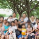 물철철백숙 이미지