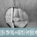 시흥에서 온 말랑 콩떡 케미 렉돌남매 최소절개 최소...제거 회복빠른 명품 중성화 수술 &#34;콩떡이&#34; 후기