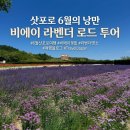 비에이(B/A) | 6월 여름 삿포로 여행 비에이 투어 일정 예약 꿀팁 &amp; 후기