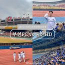 세븐일레븐 이천종합운동장점 | 부천종합운동장 원정석 시야 및 울산HD 축구 직관 후기