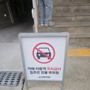 [제주카페] 제주 노형동 카페 크렘당쥬 맛집! 소나무커피