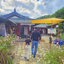 토담막국수 | 강원도 평창맛집 토담막국수 현지인 단골 메밀막국수집