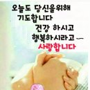낭만포차한식점심부페 이미지