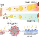 간 - 유성구 온천서로 8-13 | 간