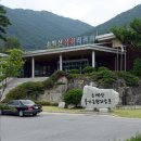 풍기온천 티스토리