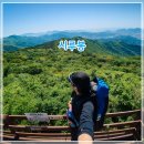 시루봉 | 진해 등산코스 추천, 바다 전망이 멋진 시루봉 산행 후기