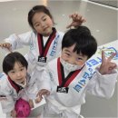 라이프 태권도장 이미지