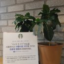 꽃;피다 이미지