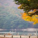 에스제이진 - 화성시 동탄대로9가길 23 | 에스제이진