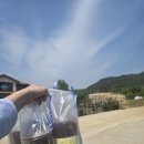 빽다방서산 - 서산시 호수공원10로 7 | 빽다방서산