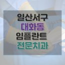 내이처럼치과병원 | 고양시 일산서구 대화동 치과 임플란트 비용 가격 후기 잘하는 병원 18곳 총정리