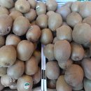 서울청과 이미지