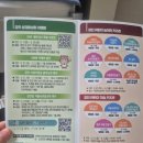 민화그리기 | 2026년 강진청자축제 초등 가족 방문 후기_ 고려청자박물관, 민화뮤지엄(물레, 조각, 민화 그리기 체험)