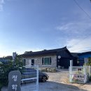 장덕리은행나무 | 강릉사주잘보는곳 유명한 점집 주문진 청학사 방문 후기