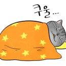 유치원가개 네이버블로그