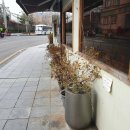 카페심플 이미지