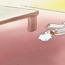 혜성식품