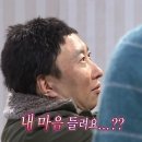 육선도 이미지