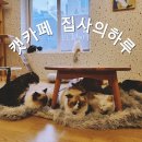 캣카페 집사의하루 분당점 이미지