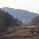 송단제 이미지