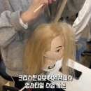 크리스챤쇼보미용학원 이미지
