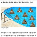 파크목욕탕 이미지
