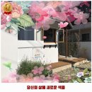 교2동-1 | 교2동 맛집 얼라이브홈 운영시간 및 방문 정보와 가격까지 한번에 알아봐요