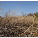 북면~칠보 이미지