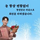 K 용인대태권도 이미지