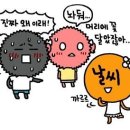 황금농산 이미지