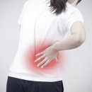 동의보감자동차 이미지