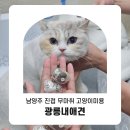광릉내 애견 네이버블로그
