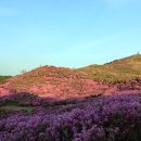 망구 비