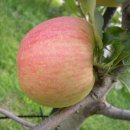 고향사랑방 이미지