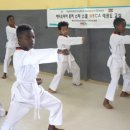 스타태권도스쿨 이미지