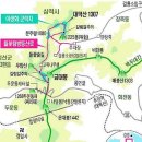 [2018년-5월] 태백 대덕산(금대봉) 야생화 탐방 이미지