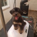 예뻐지개 이미지