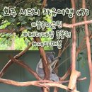 시드니 자유여행 (7) : 블루마운틴, 페더데일 동물원, 세자매봉 당일 투어 후기