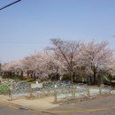 덕산초교 옆 이미지