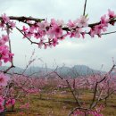젊은오빠 - 북구 매곡동 | 젊은오빠