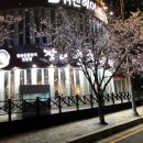 수변풍천장어 이미지