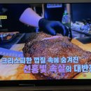 매니멀스모크하우스 티스토리
