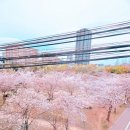 오사카&amp;교토 - 일본 여행 준비