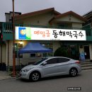 [강릉맛집]강릉 대표 음식 회비빔막국수 맛집::메밀골동해막국수