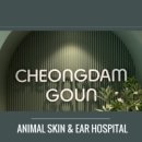 청담고운피부과동물병원